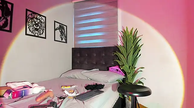 Mix_electra_nova webcam