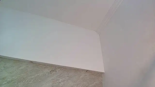 Dixie_grey1 webcam