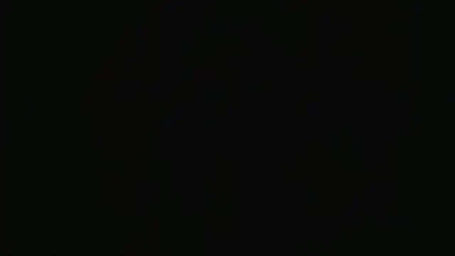 alpha-hunk webcam
