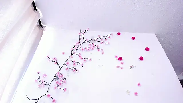 NicoRobinx webcam