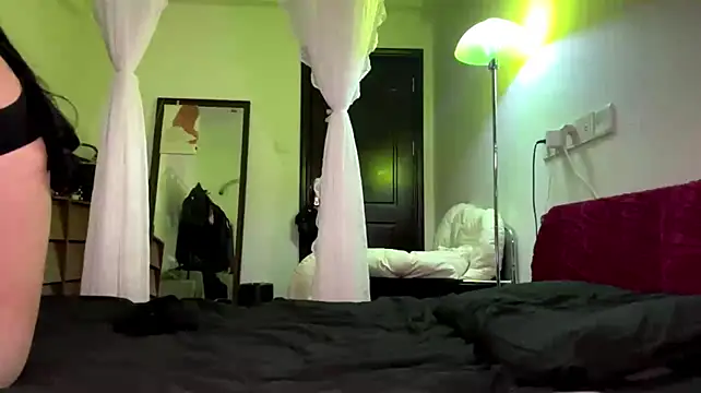 FuzzyDreg webcam