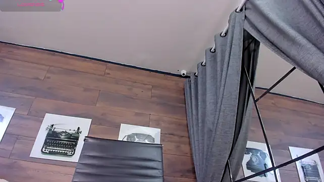 PechBri webcam