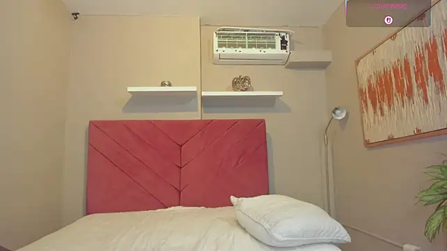 Yintaish webcam
