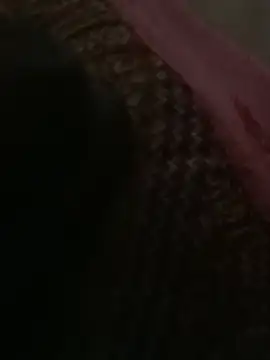 shouvik484 webcam