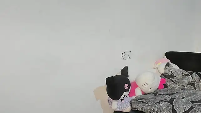 Eirlysx webcam