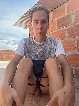 grey___27 webcam