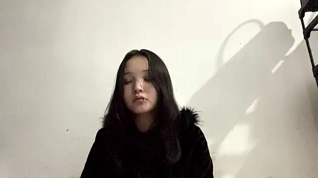 KitArmelin webcam