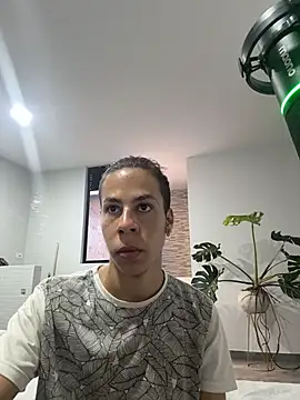 grey___27 webcam