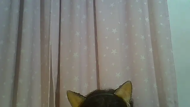 SkinnyKitten