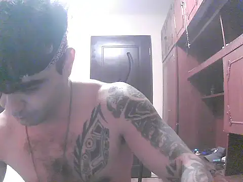 projectdivad webcam