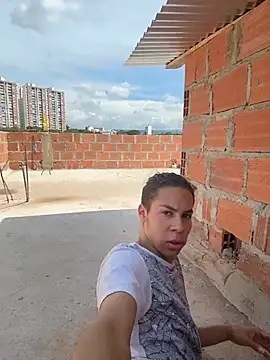 grey___27 webcam