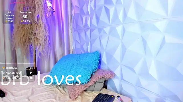Jaadewest webcam