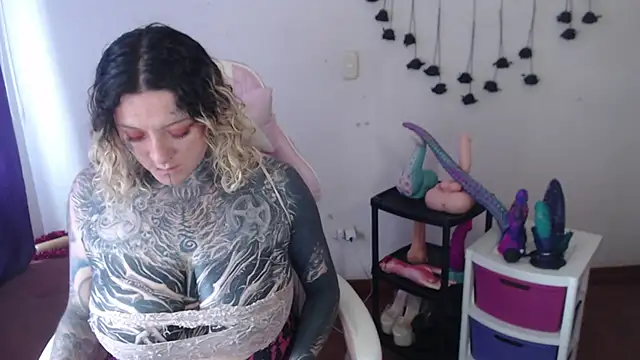 SLOPPYTITSS webcam