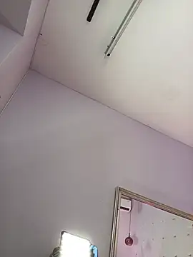 haileystone webcam