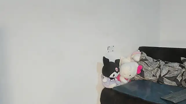 Eirlysx webcam