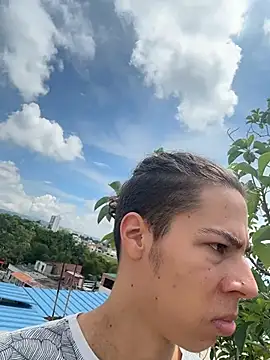 grey___27 webcam