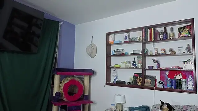 stephania_t webcam