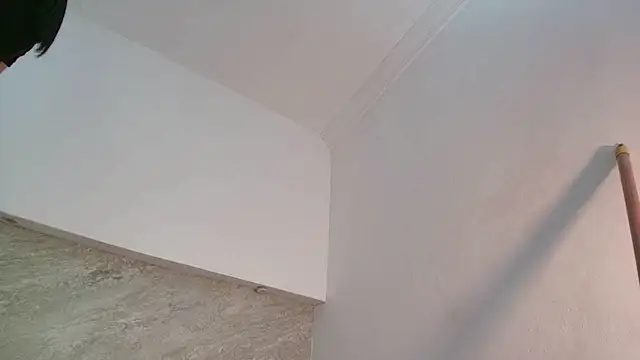 Dixie_grey1 webcam