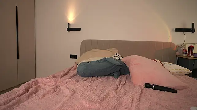 Dallass_ss webcam