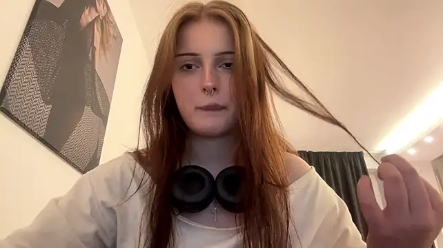 Volume_sound webcam