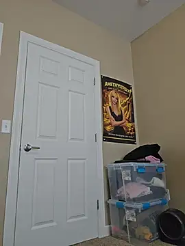 AmethystFoxx webcam