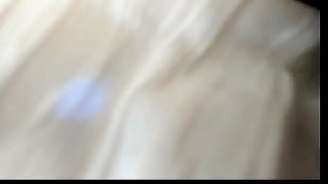 beranco19 live sex cam