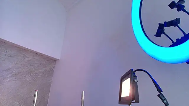 Dixie_grey1