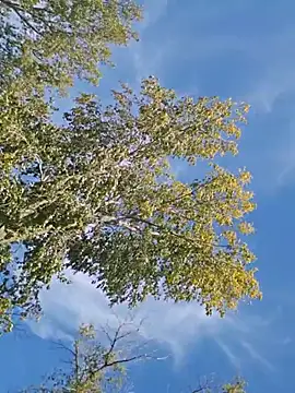 Exposedwisconsin live cam preview