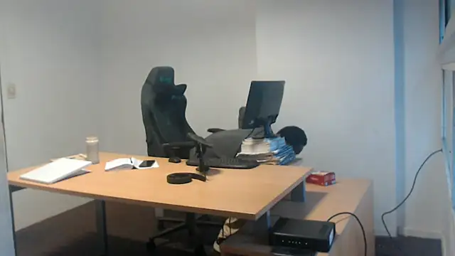 Mastertopdome webcam