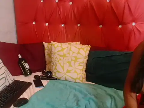 BaselBlues webcam