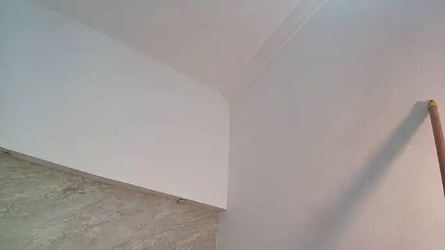 Dixie_grey1