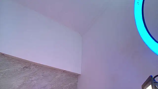 Dixie_grey1 webcam