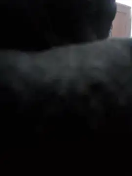 Kingmam444 webcam