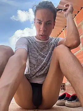 grey___27 webcam