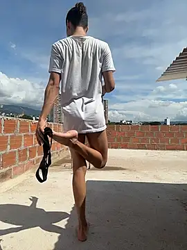 grey___27 webcam