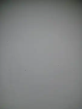 rishanrr