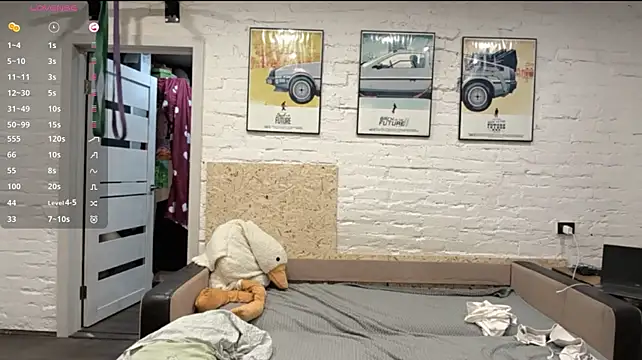 SeeFister webcam