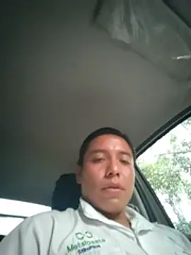 Pisonvergudo