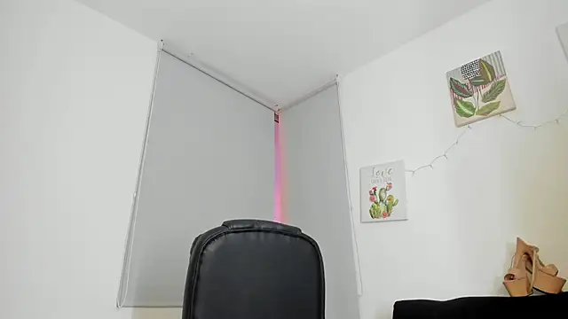 barbie_ds webcam