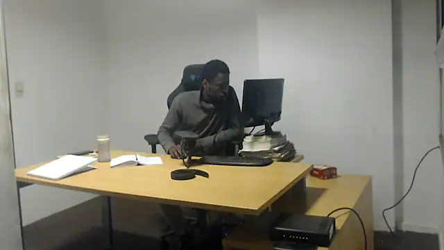 Mastertopdome live cam preview