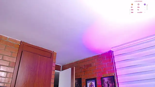 Salome-sw live cam preview