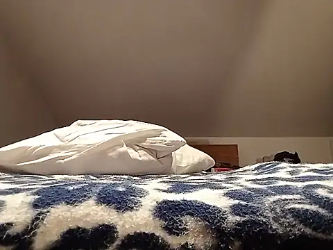 leo_pt_BR live cam preview