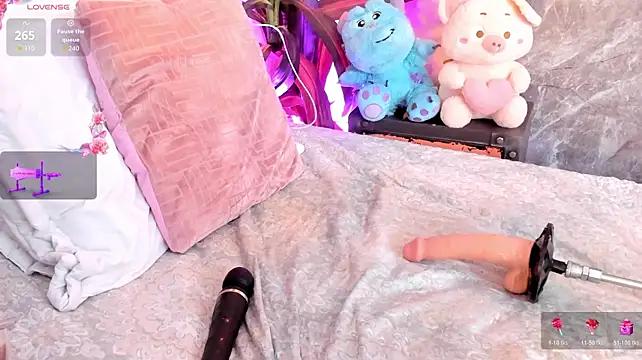 Meg_Stein