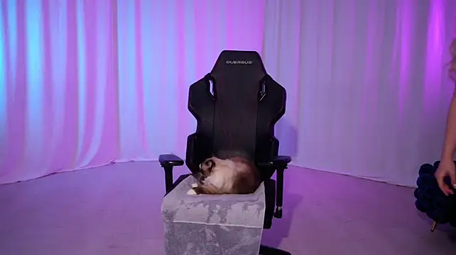 KittyCaitlin