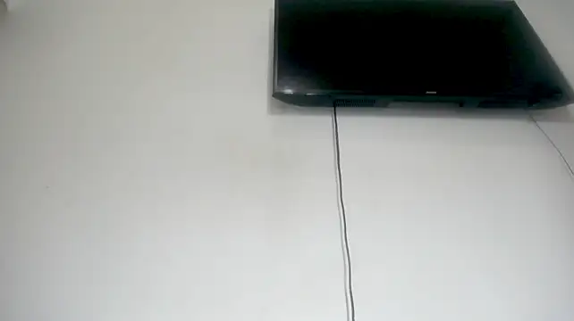 Fox_Loves