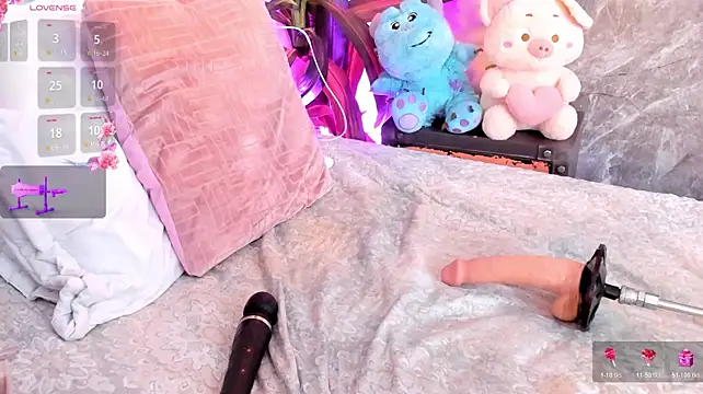 Meg_Stein