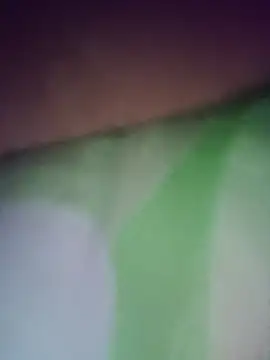 Elmono__1