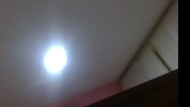 Aurorarouse16 live cam preview