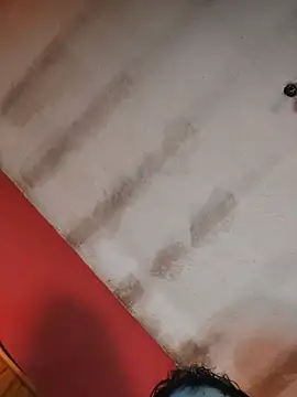 Lulupazmia