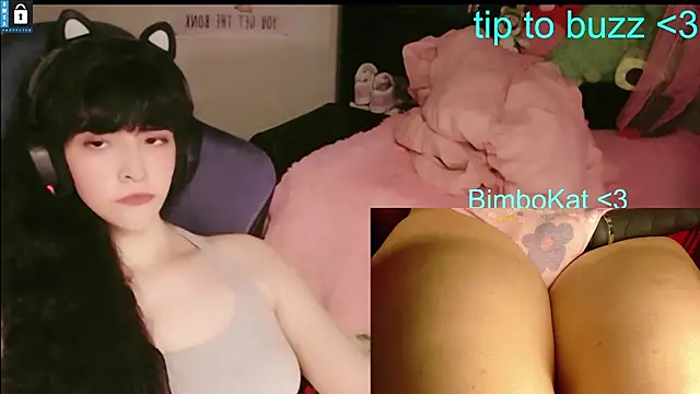 BimboCat